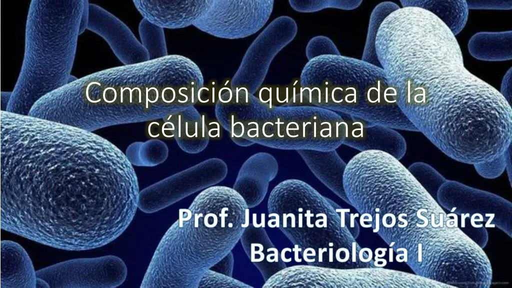 composici n qu mica de la c lula bacteriana