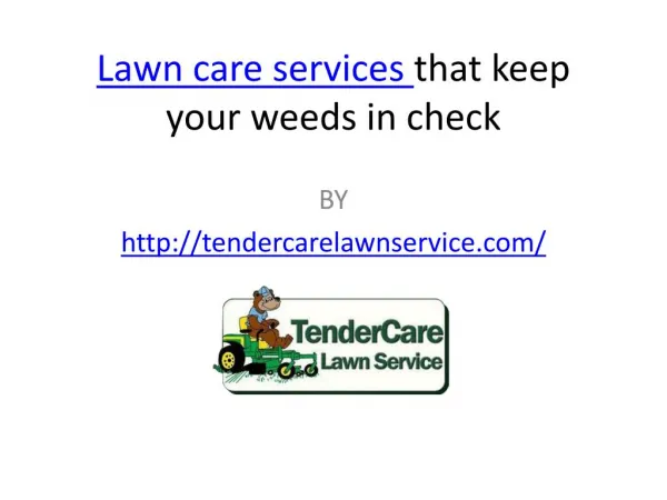 Lawn care services that keep your weeds in check