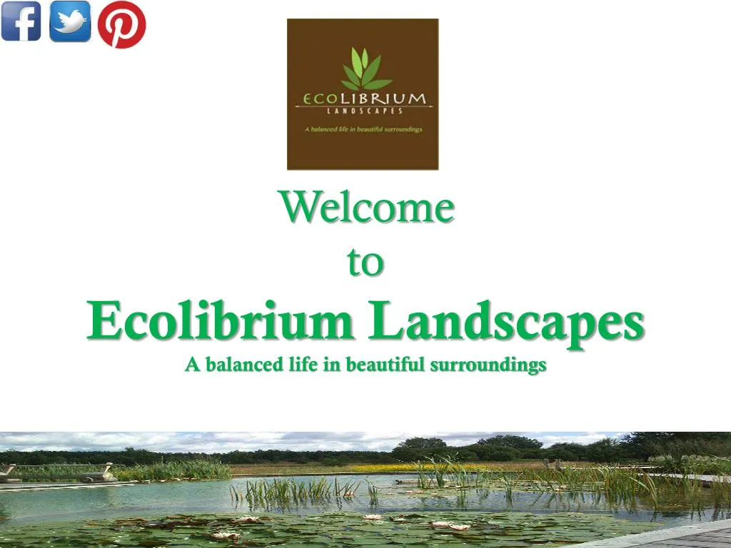 welcome to ecolibrium landscapes a balanced life in beautiful surroundings