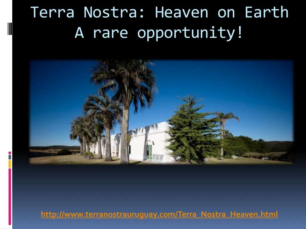 terra nostra heaven on earth a rare opportunity