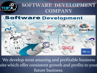 Thinkdebug is IT Software development company in indore. - slide 1