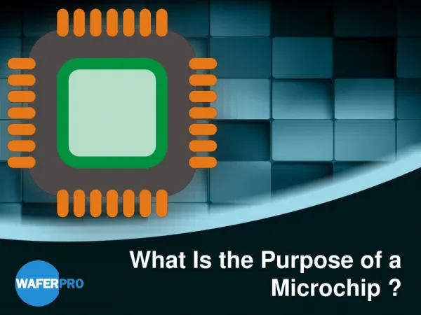 What Is the Purpose of a Microchip ?