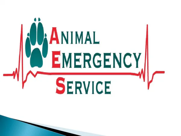 Animal Referal Clinic