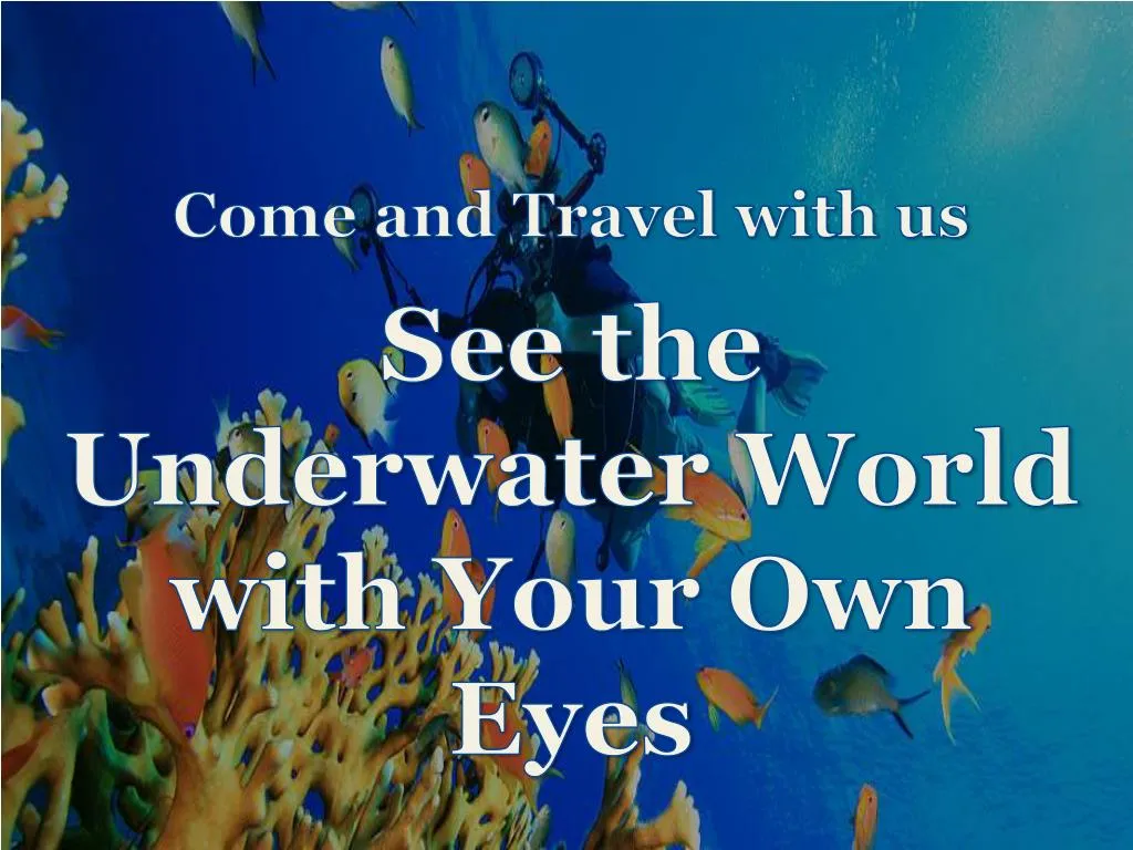 see the underwater world with your own eyes