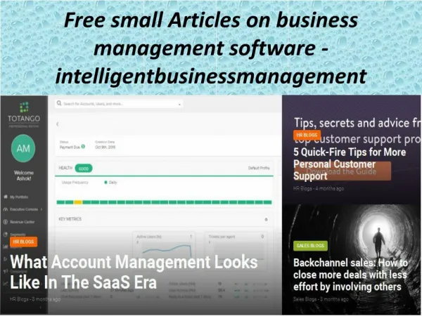 Free small Articles on business management software - intelligentbusinessmanagement
