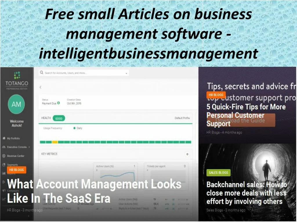 free small articles on business management software intelligentbusinessmanagement