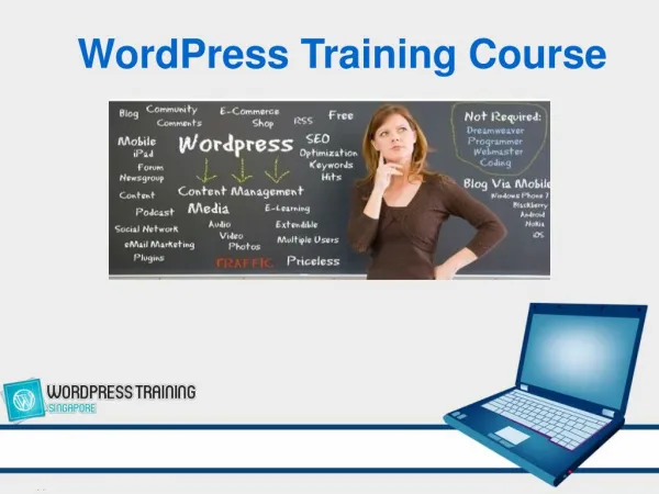 1 Day WordPress Training Course in Singapore