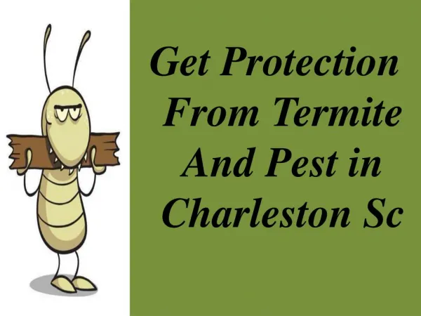 Make Your Home Free From Termite & pest in Charleston SC
