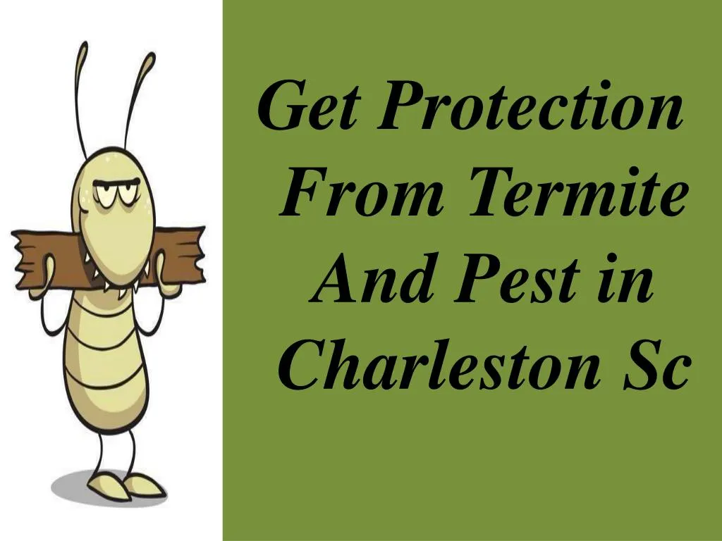 get protection from termite and pest
