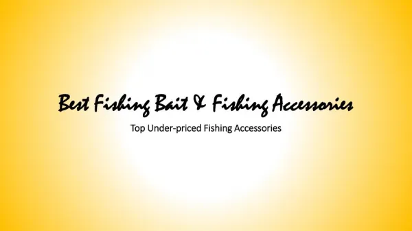 Best Fishing Bait and Fishing Accessories