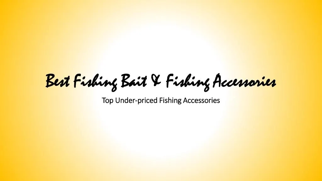 best fishing bait fishing accessories
