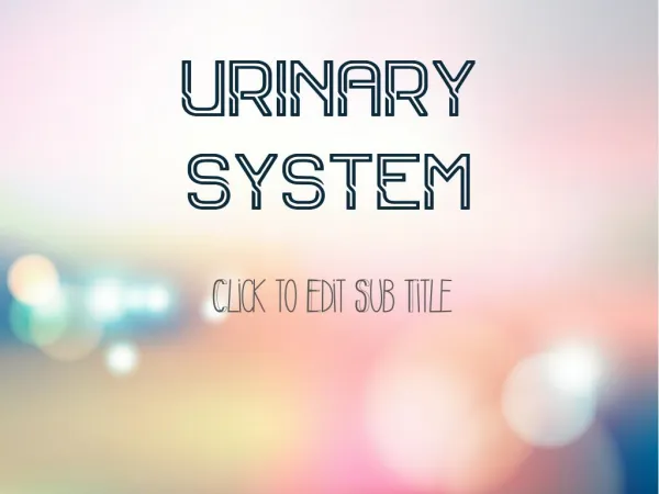urinary urinary