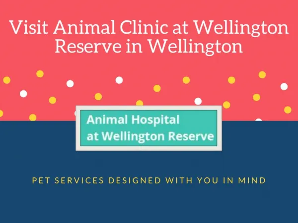 Affordable Pet Boarding Facilities in Wellington FL