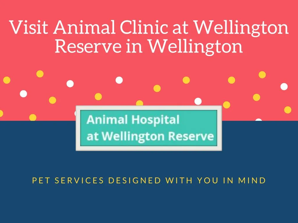 visit animal clinic at wellington reserve