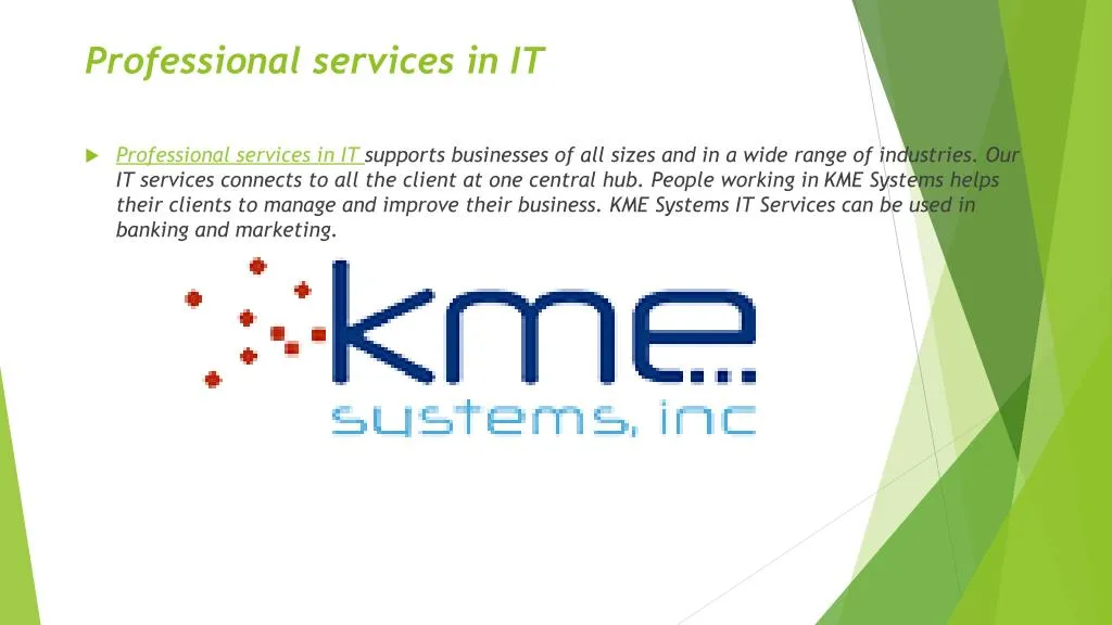 professional services in it