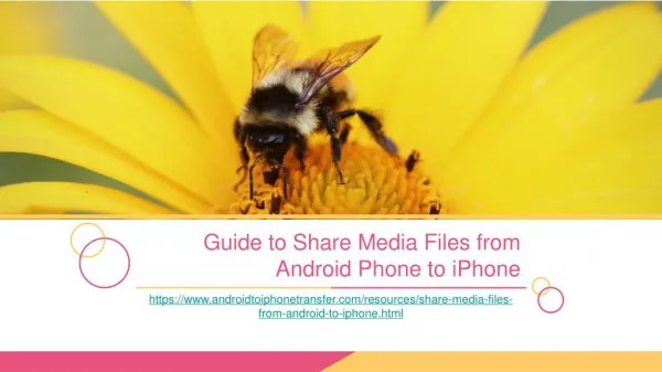 Simple Guide to Share Media Files from Android to iPhone