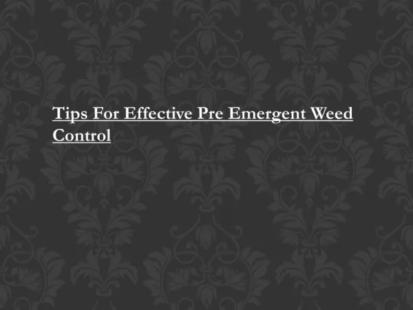Pre Emergent Weed Control Oklahoma