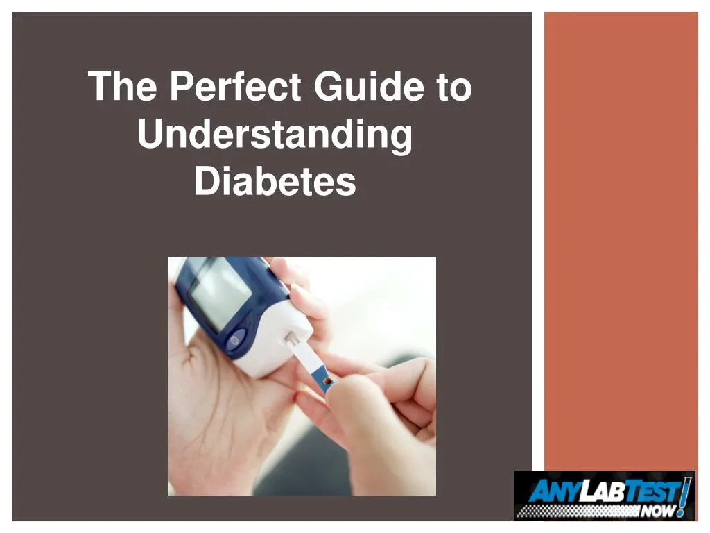 the perfect guide to understanding diabetes