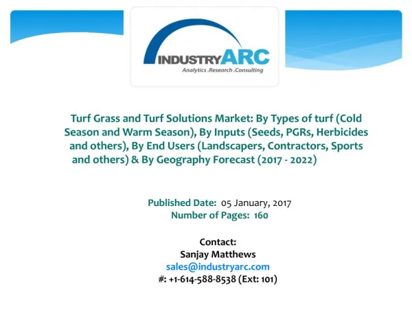 Turf Grass and Turf Solutions Market Buoyed by Rising Demand From The Sports Segment