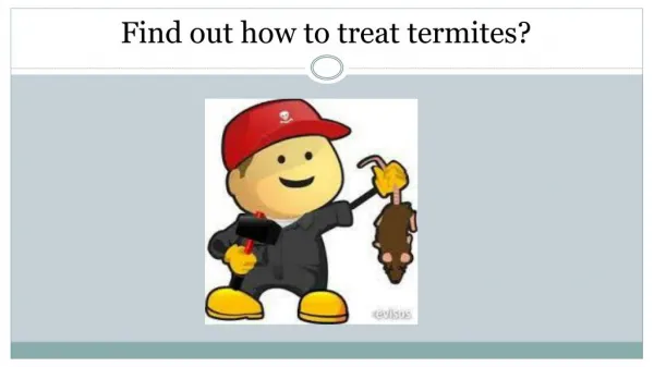 Find out how to treat termites?