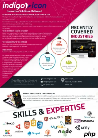 Mobile & Web Development Company – Indigo Icon USA - slide 1