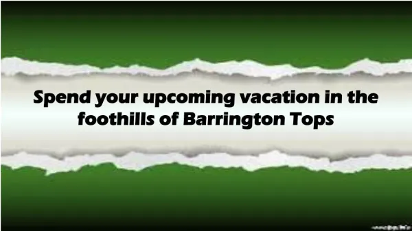 Spend your upcoming vacation in the foothills of Barrington Tops
