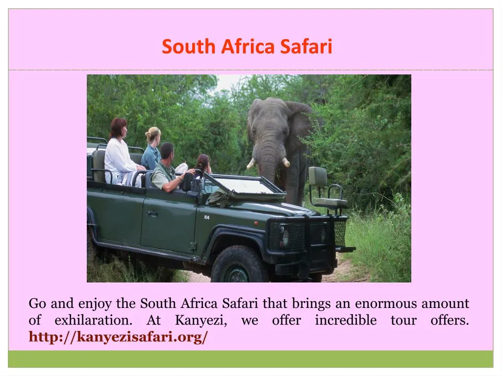 south africa safari