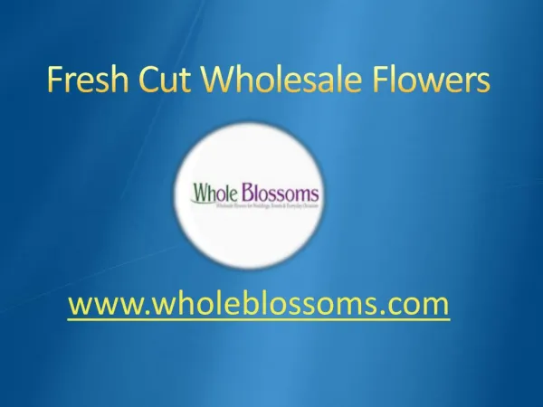 Fresh Cut Wholesale Flowers - www.wholeblossoms.com