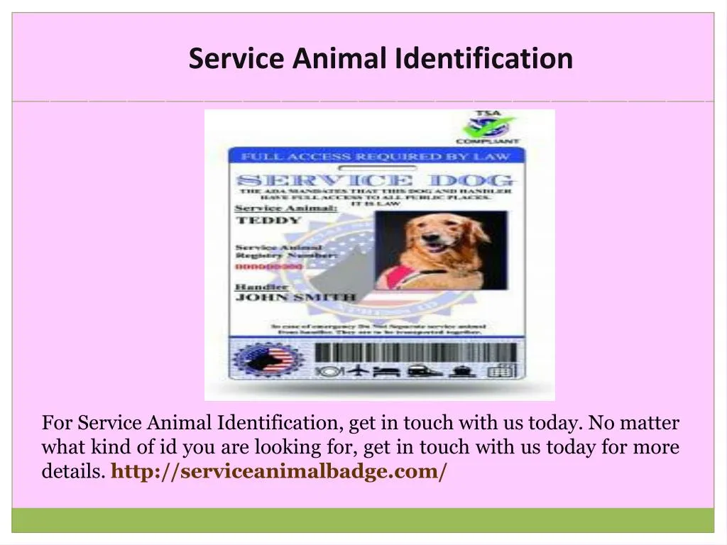 service animal identification