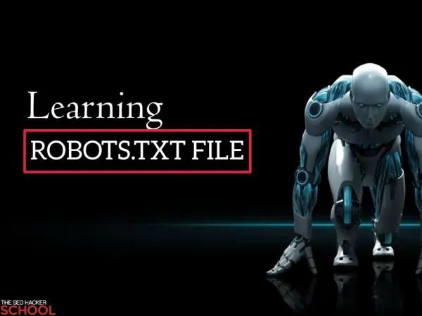 Robots txt public