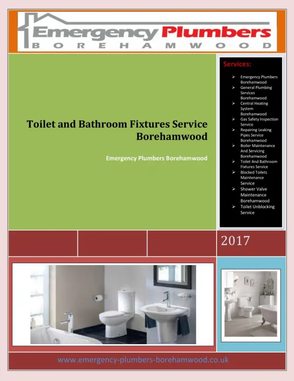 Toilet and Bathroom Fixtures Service Borehamwood