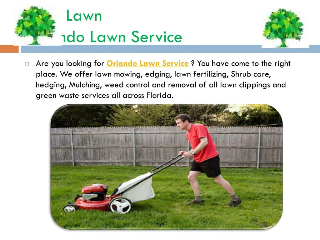local lawn orlando lawn service