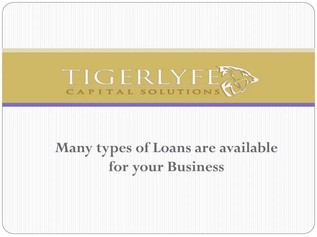 many types of loans are available for your business
