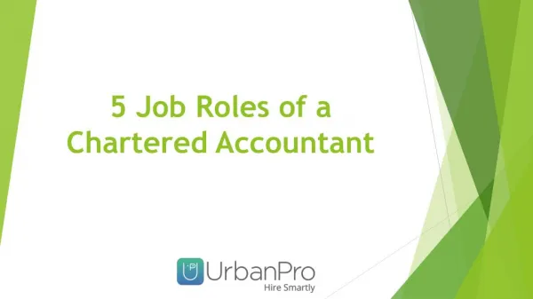 5 Job Roles of a Chartered Accountant