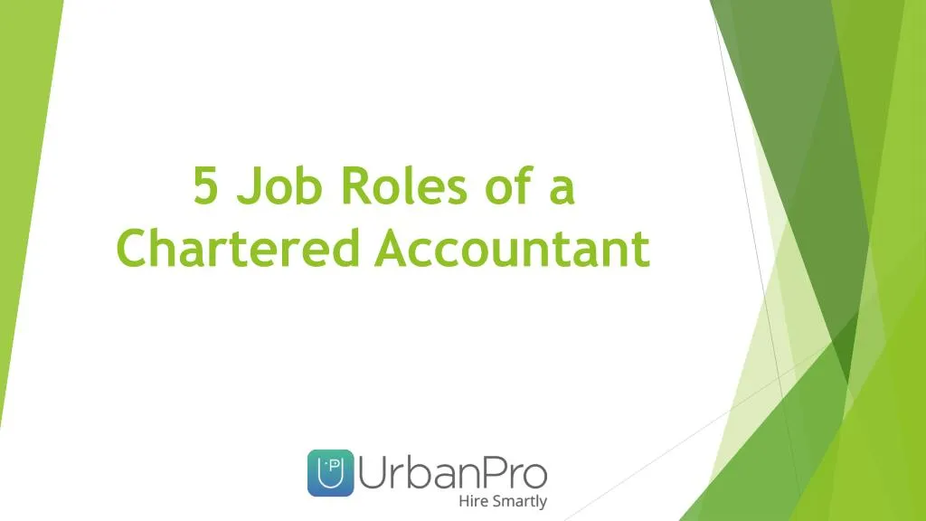 5 job roles of a chartered accountant