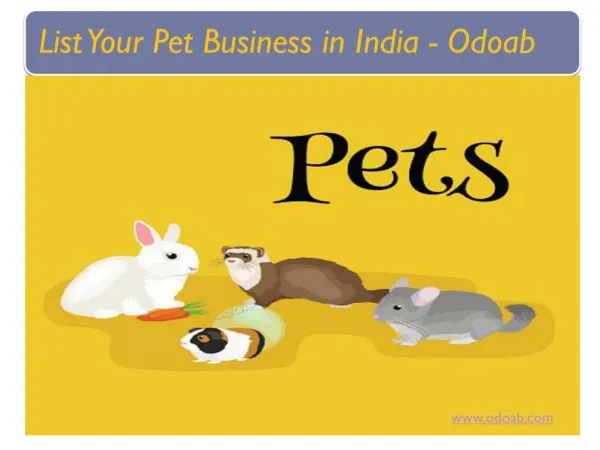 List Your Pet Business in India - Free List | Odoab