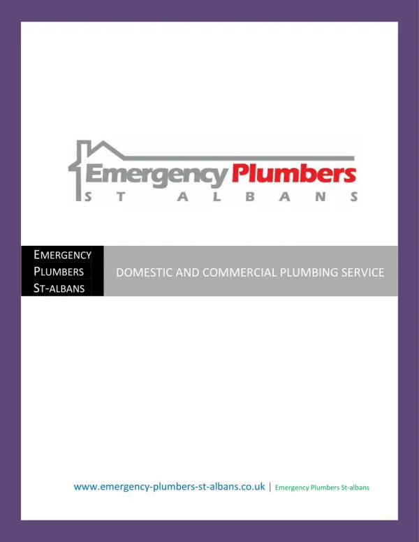 Domestic and commercial plumbing service
