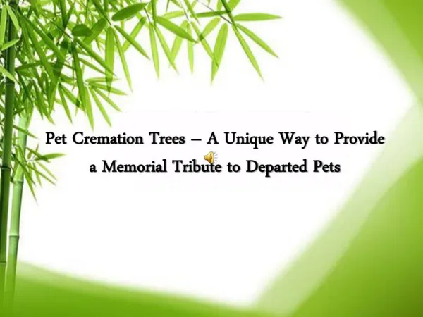 Pet Cremation Trees – A Unique Way to Provide a Memorial Tribute to Departed Pets