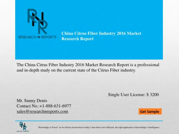 China Citrus Fiber Industry Market Analysis