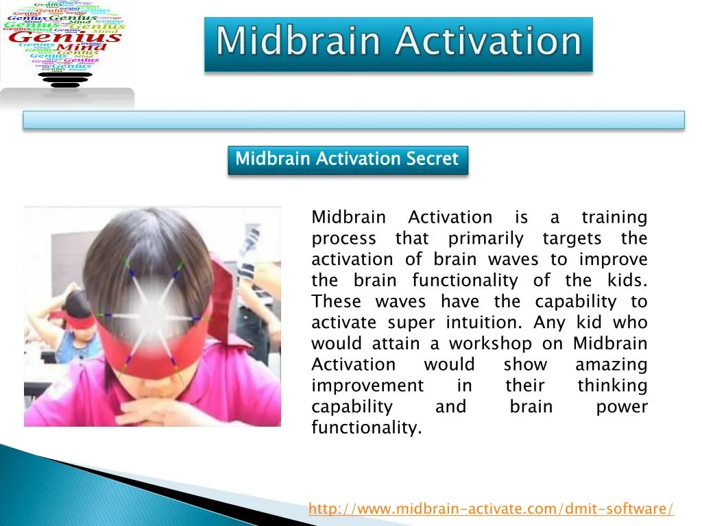 midbrain activation