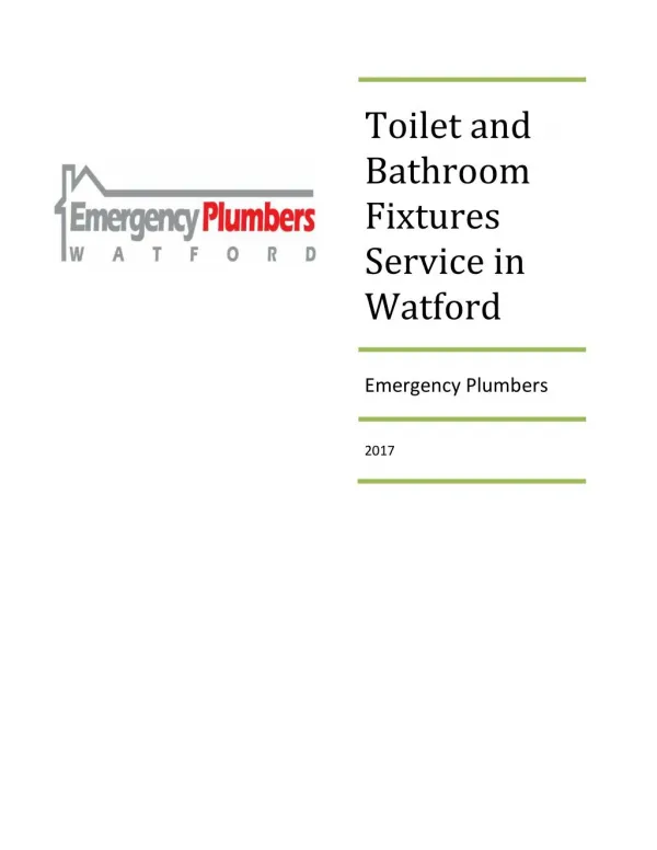 Toilet and bathroom fixtures service