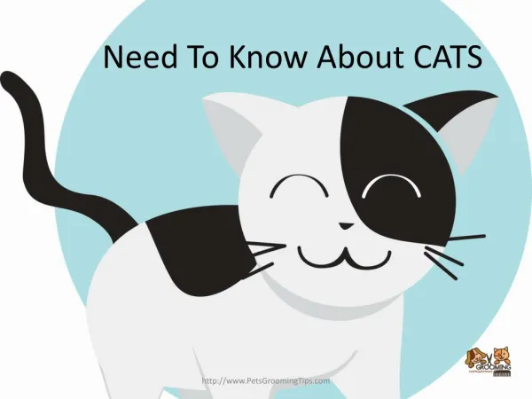 Need To Know About CATS