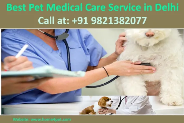 Best Pet Medical Care Service Delhi | Call at 9821382077