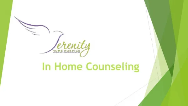 In Home Counseling