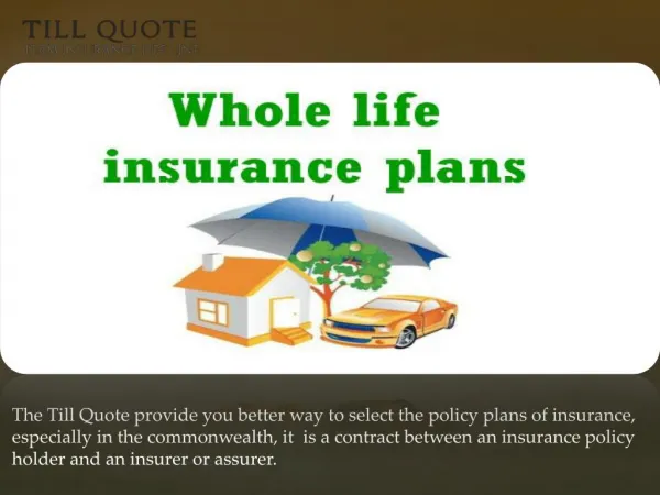 Best insurance companies
