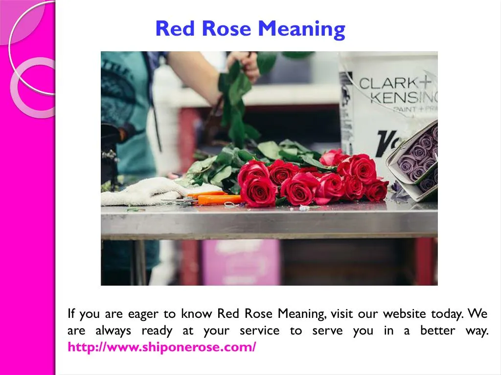 red rose meaning