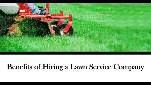 Benefits of Hiring a Lawn Service Company in St Louis, MO