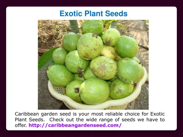 Buy Vegetable Seeds Online
