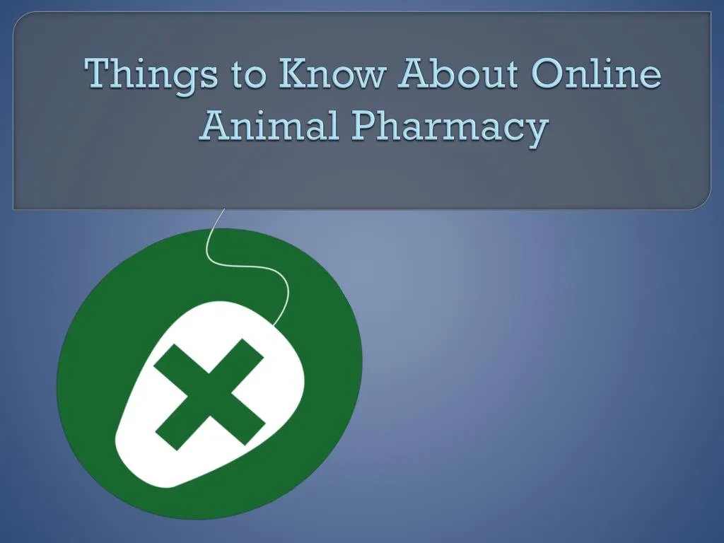 things to know about online animal pharmacy