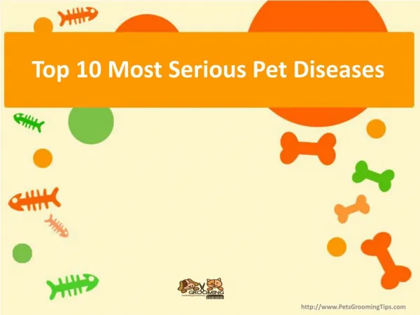 Top 10 Most Serious Pet Diseases